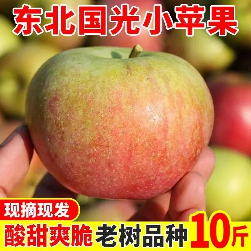 【2023年新果】水果正宗小国光苹果辽宁特产当季新鲜酸甜脆孕妇整箱