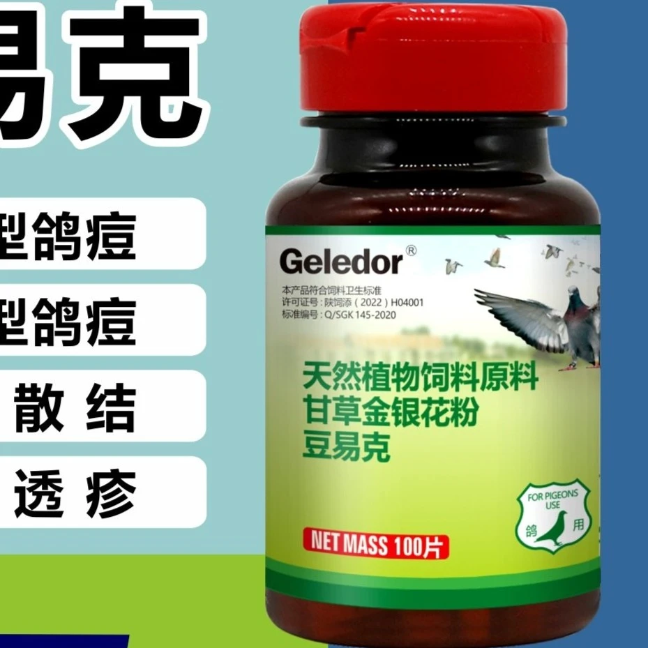 赛鸽 豆易克 赛鸽观赏鸽用品