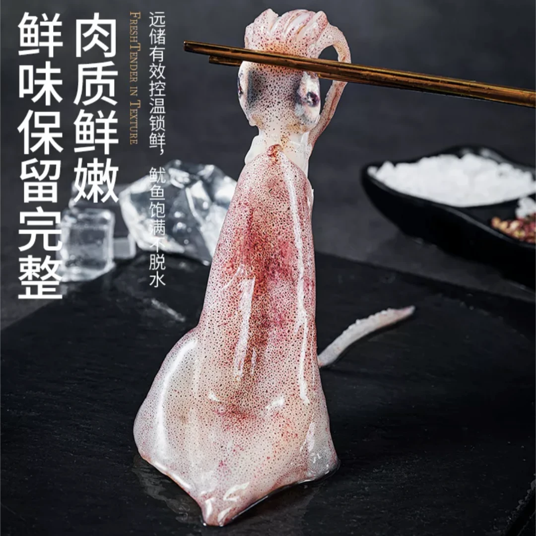 上街弟海鲜【木匠鱿鱼】海捕鱿鱼海鲜水产