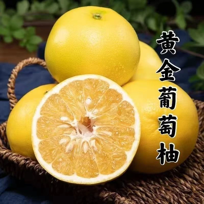 正宗福建黄金葡萄柚黄心柚子蜜柚维C西柚当季新鲜水果全国售后发
