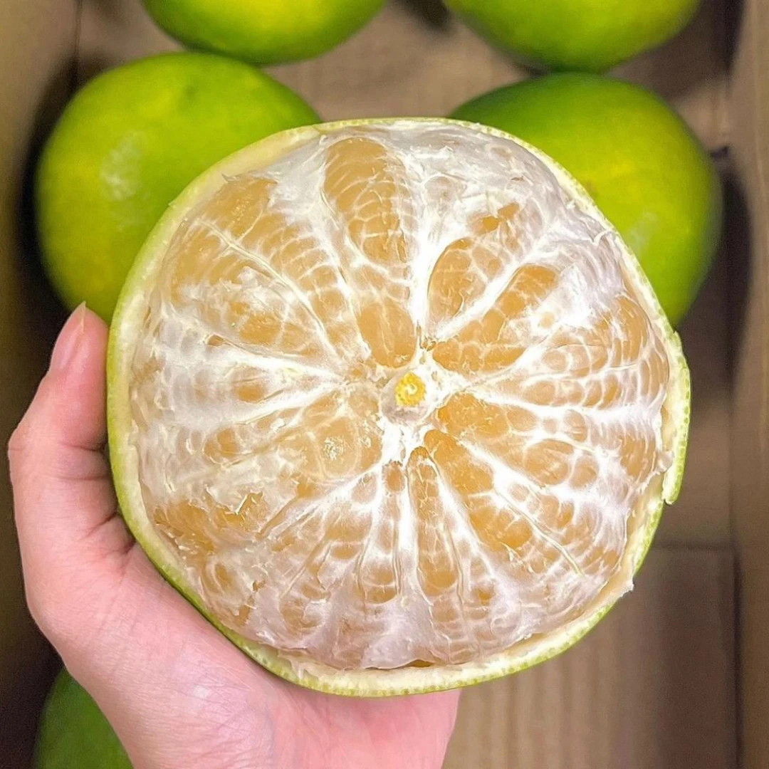 翡翠爆汁葡萄柚当季头茬新柚子孕妇水果青柚鲜甜水果柚绿宝石青柚