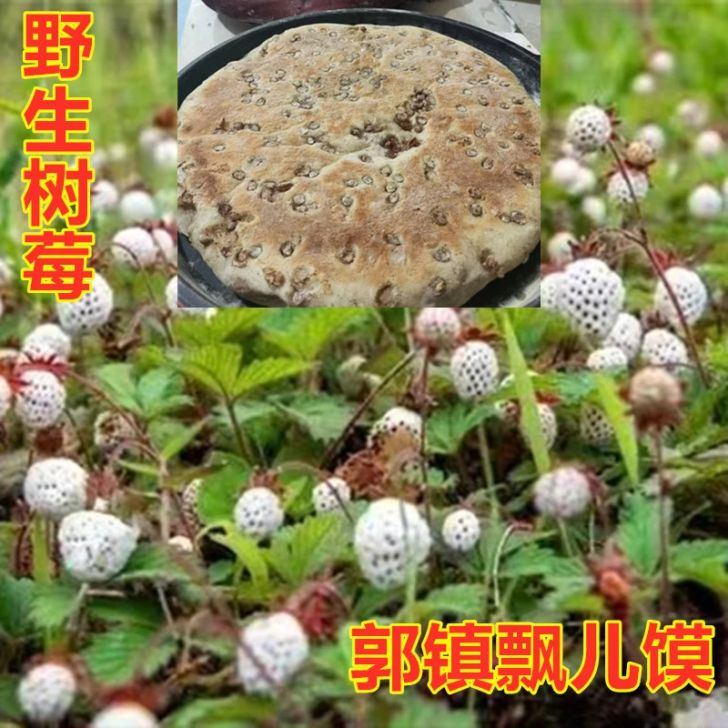 郭镇农产品野生树莓瓢儿甜食水果制品瓢儿馍