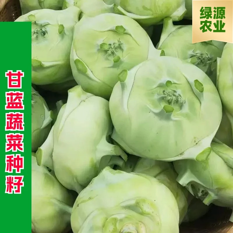 【全店满五元包邮】青苤蓝种子球茎甘蓝蔬菜种籽