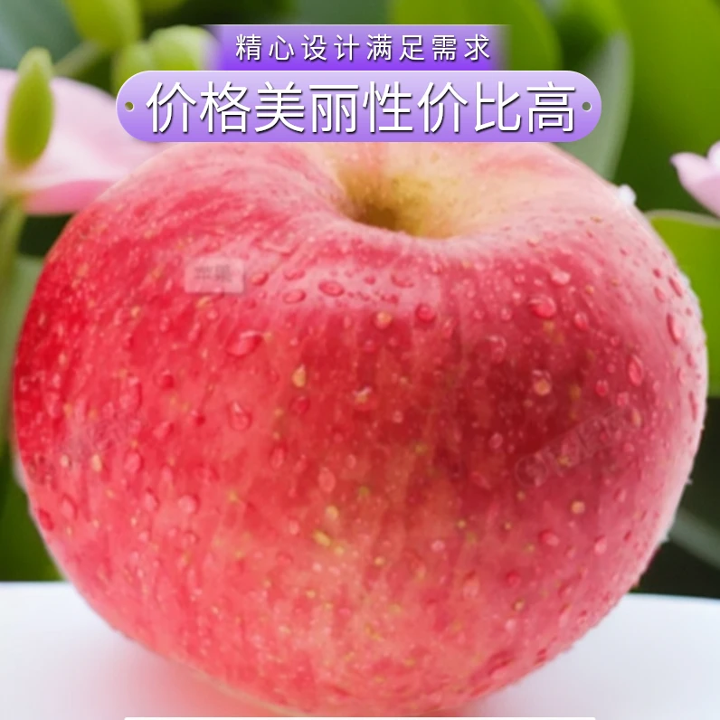 高端水果苹果丰满