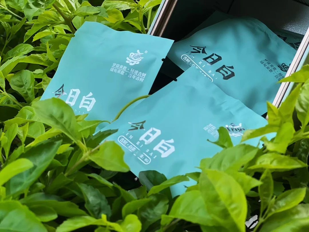 『三页严选』2022年秘境古树白茶