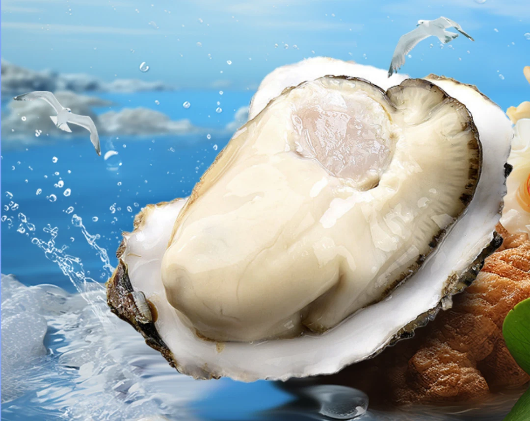 【福袋】2斤试吃装生蚝