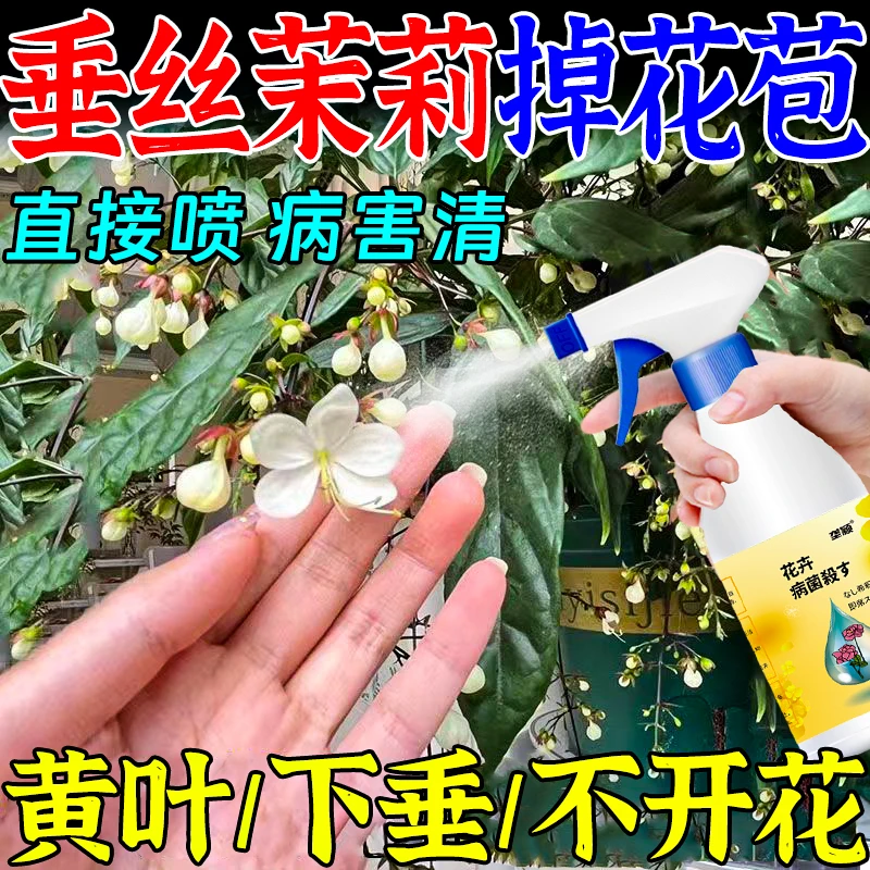 垂丝茉莉专用多箭素垂丝茉莉营养液催花延花期防枯萎黄叶液体肥料