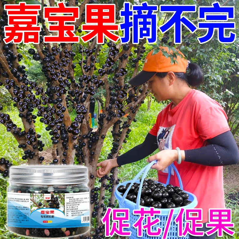 嘉宝果专用肥珍宝果肥料催花促果保果家用葡萄挂果营养液四季肥