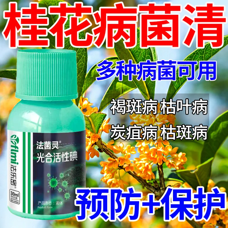 桂花专用杀菌剂桂花病全治白粉病霜霉病白斑病炭疽病毒素褐斑病