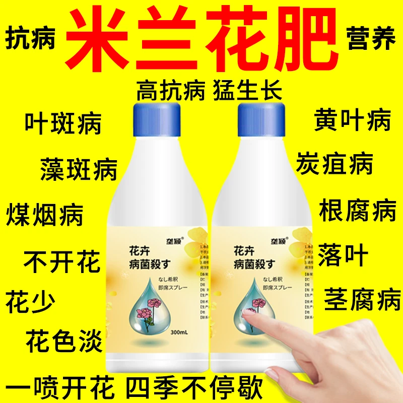 米兰花专用肥米兰藻斑病黄叶掉叶叶斑病多菌灵香水米兰专用营养液