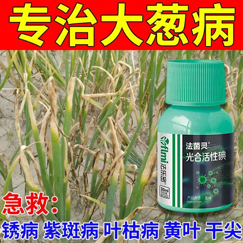 【只需1喷】大葱病害专用剂黄叶干尖紫斑病叶枯病疫病锈病杀菌剂