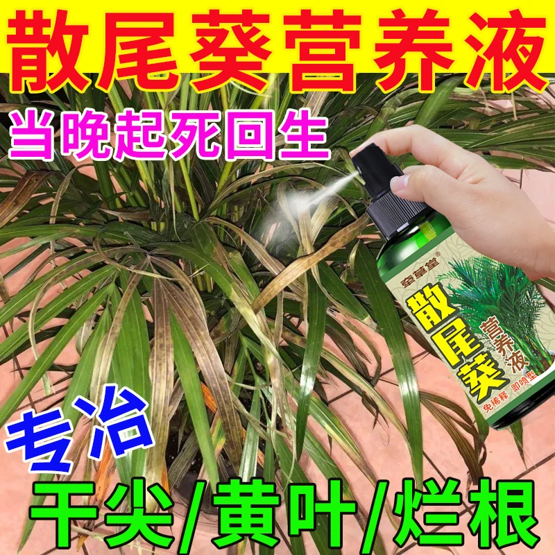 散尾葵肥料养护凤尾竹天堂鸟干尖发黄烂根专用植料绿植通用营养液