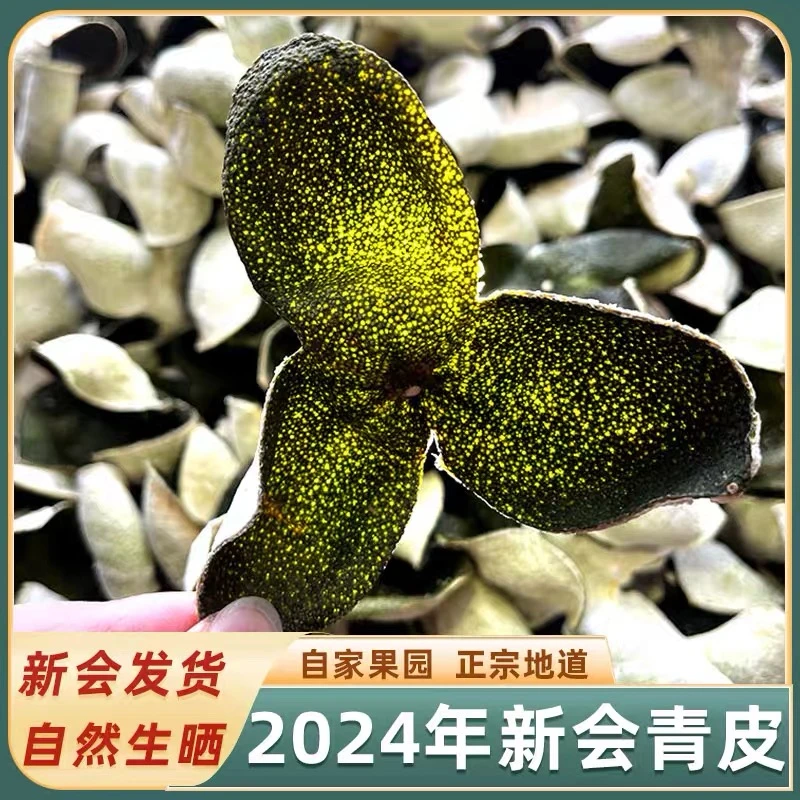 【大眼姑娘】  2024年天马圈枝青皮  新会陈皮 新会直发