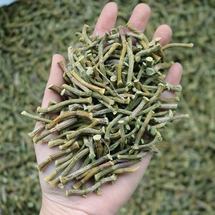【大眼姑娘】铁皮石斛条霍山精选