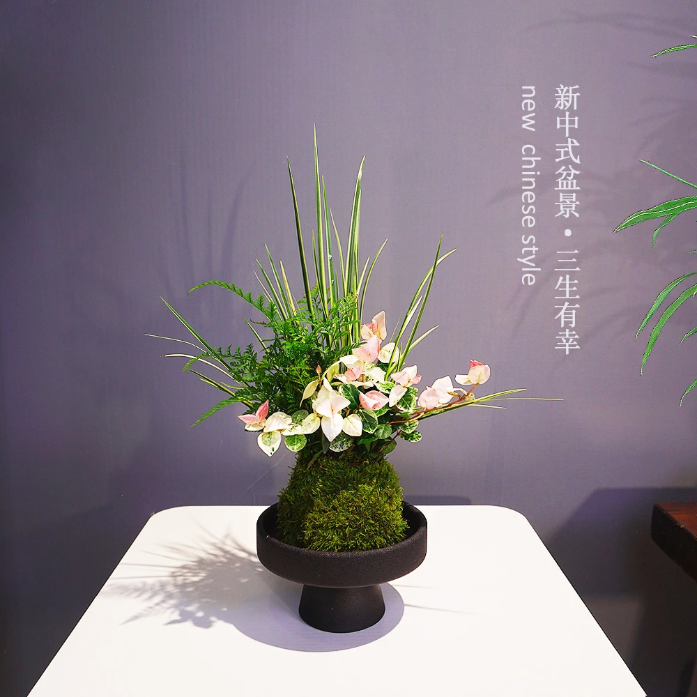 三生有幸苔藓球组合四季常青植物室内办公室茶桌趣味美观好养绿植