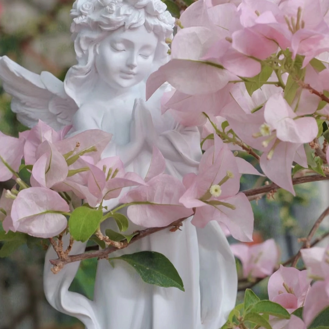 三角梅四季开花庭院阳台好养绿植（不带花不带盆）