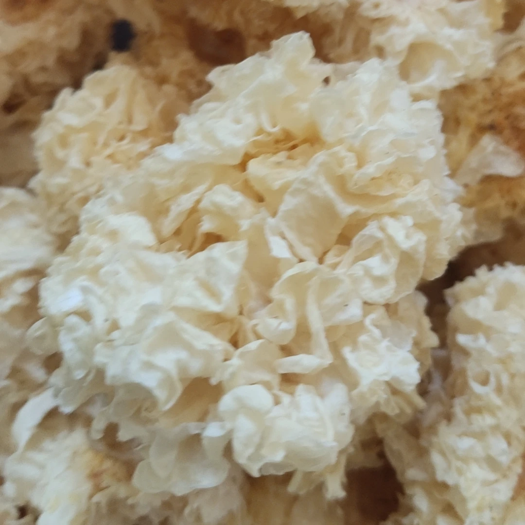 银耳【净含量 250g-500g】