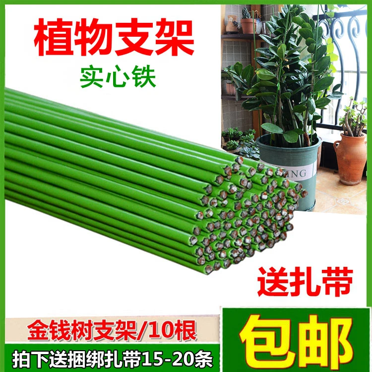 园艺支架粗细绿铁线植物爬藤支架种菜支柱兰花金钱树园艺花架