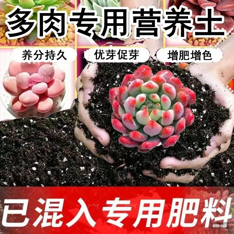 多肉专用土多肉植物适用营养土通用种花养花土肉肉花卉土多肉肥料