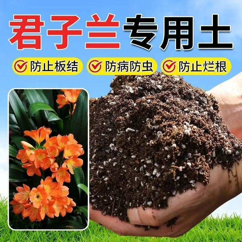 君子兰专用土通用种花营养土种植椰糠土养花土养花盆栽君子兰土壤