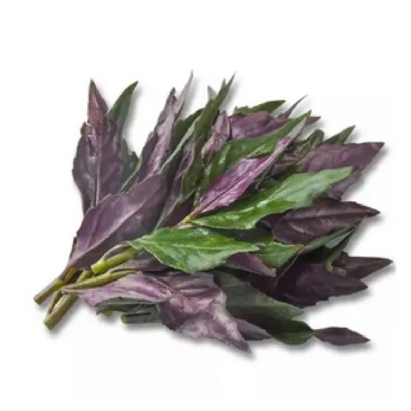 广东紫贝菜 350g