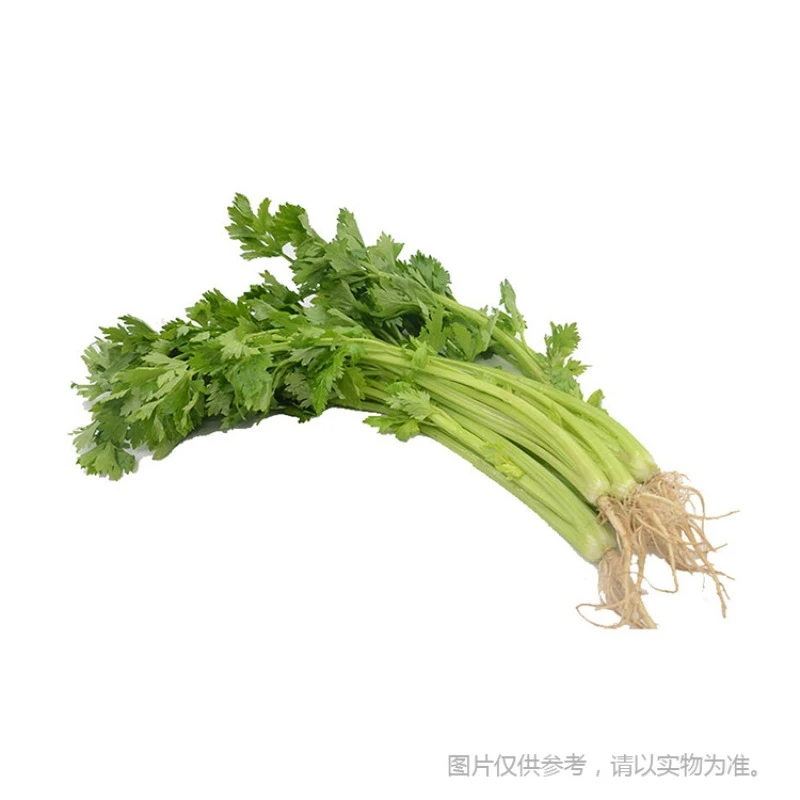 香芹(OL)250g/份