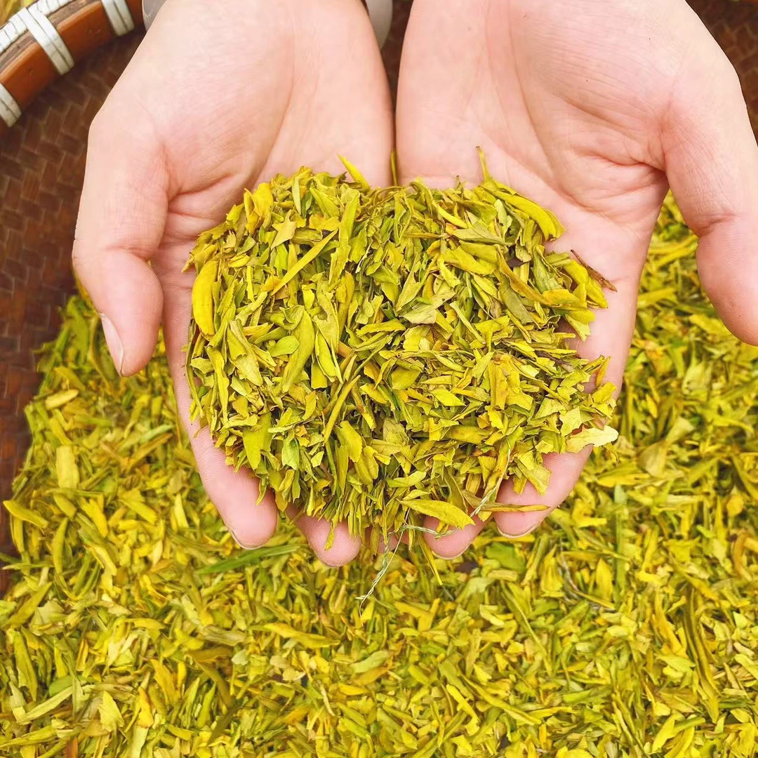 【买一斤送一斤黄金芽茶片】2025明前高山豆香浓香明前头采原产地浓