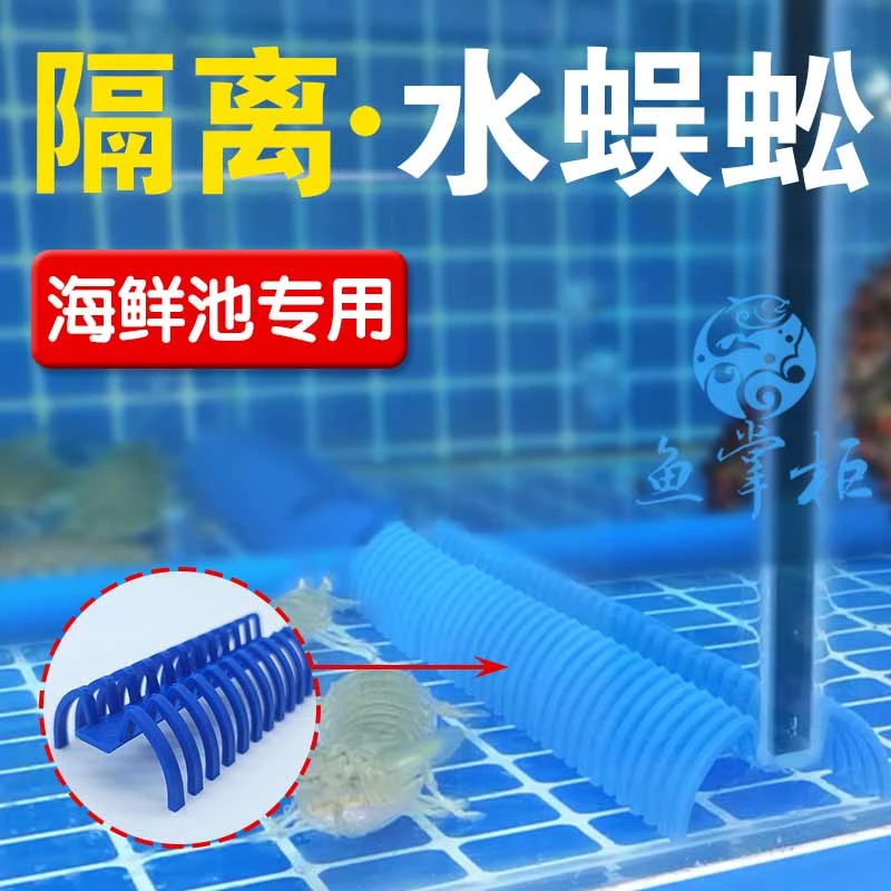 鱼缸海鲜池海鲜缸虾蟹缸中间穿水隔离挡鱼虾流窜穿水挡水族配件