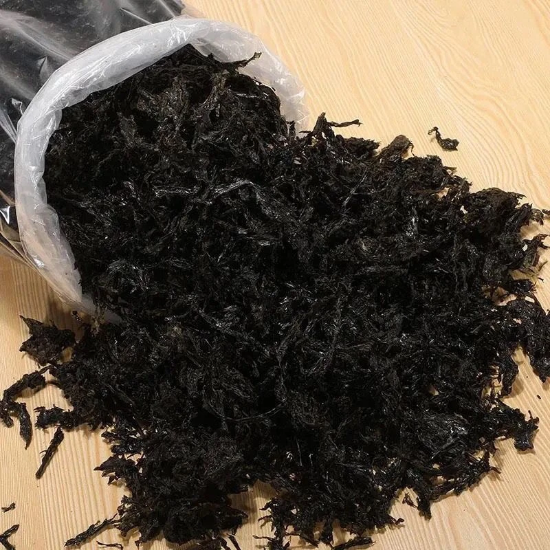 无沙免洗紫菜批发紫菜干货大包紫菜汤冲泡即食紫菜带料包散装紫菜