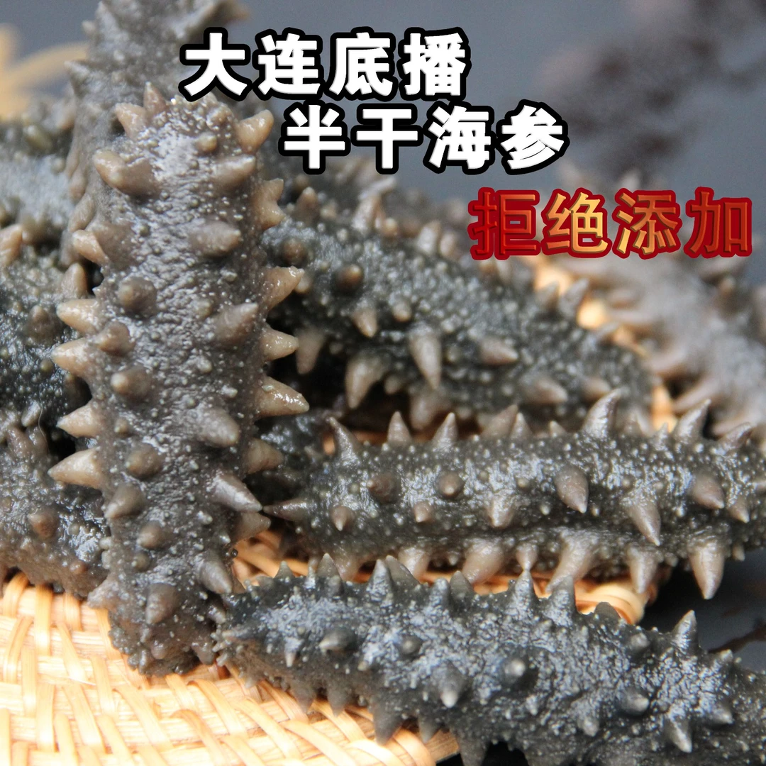【大连底播拉缸盐半干海参】250g500g新鲜营养新鲜深海深海正宗辽参