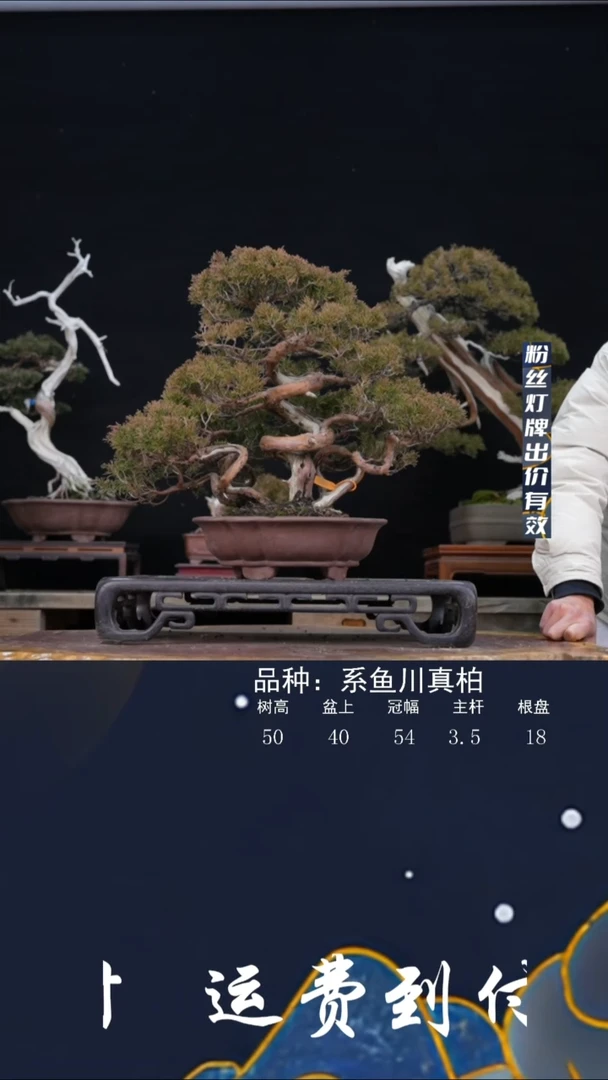 【闪购商品】13865
