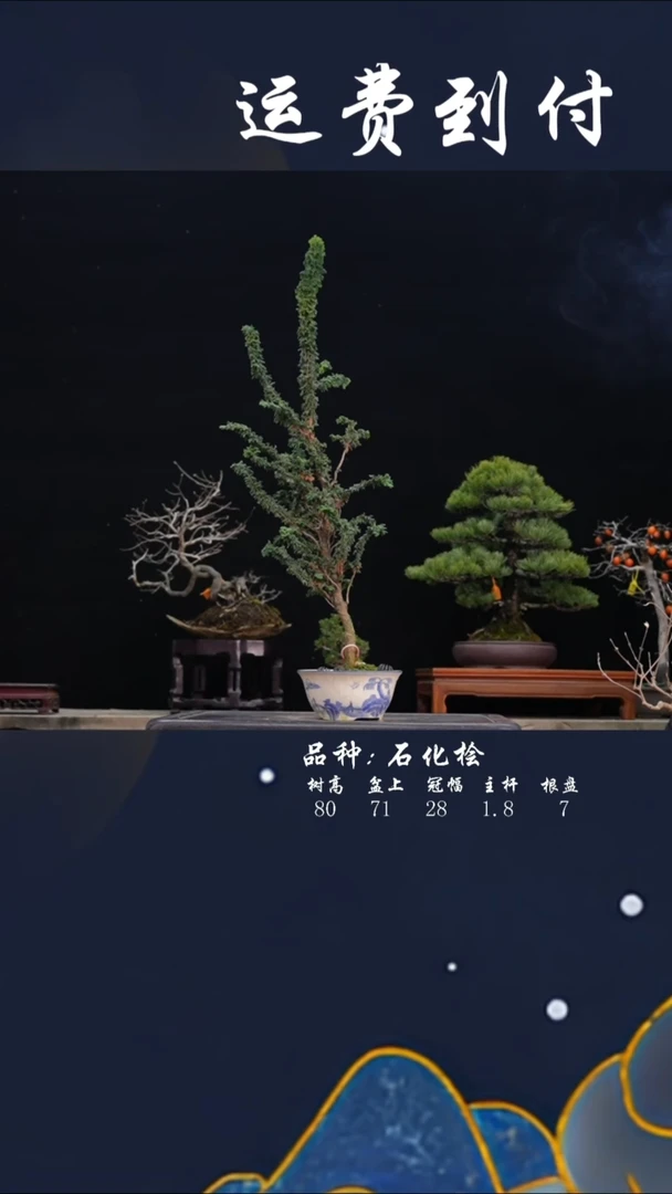 【闪购商品】75191