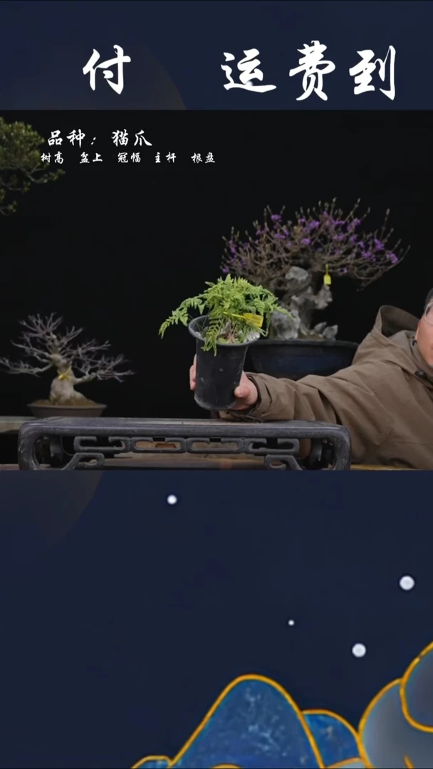 【闪购商品】110235