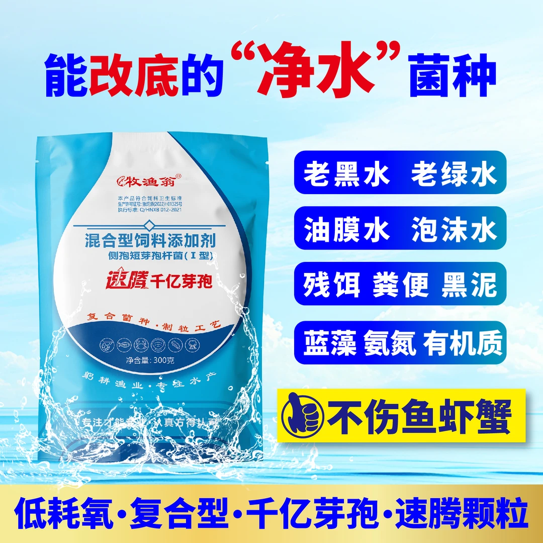 【速腾千亿芽孢】净水改底蓝藻低耗氧千亿芽孢杆菌复合型水黑水绿