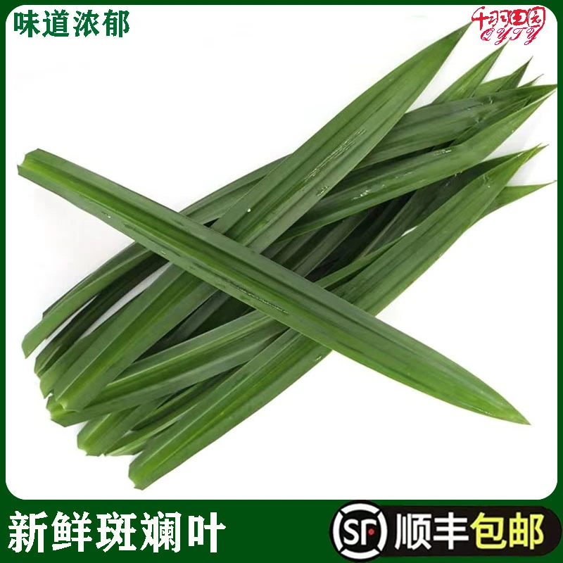 斑斓叶新鲜食用香兰叶250g蛋糕千层芒果糯米饭奶茶店用班兰叶包邮