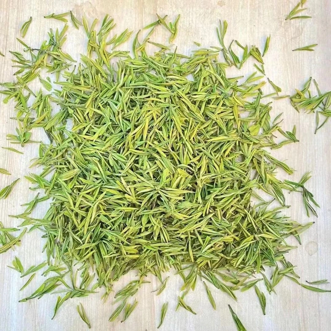 A88【2025年昆铜核心山顶顶芽】原产地安吉白茶头采新茶