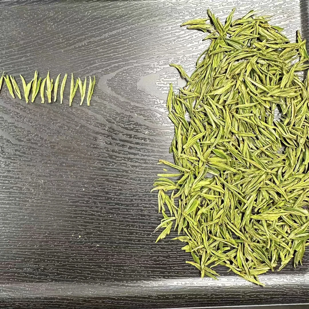 【2025年新茶 头采顶芽】（3-24号采）芽头肥壮 送礼特级 花果香兰香