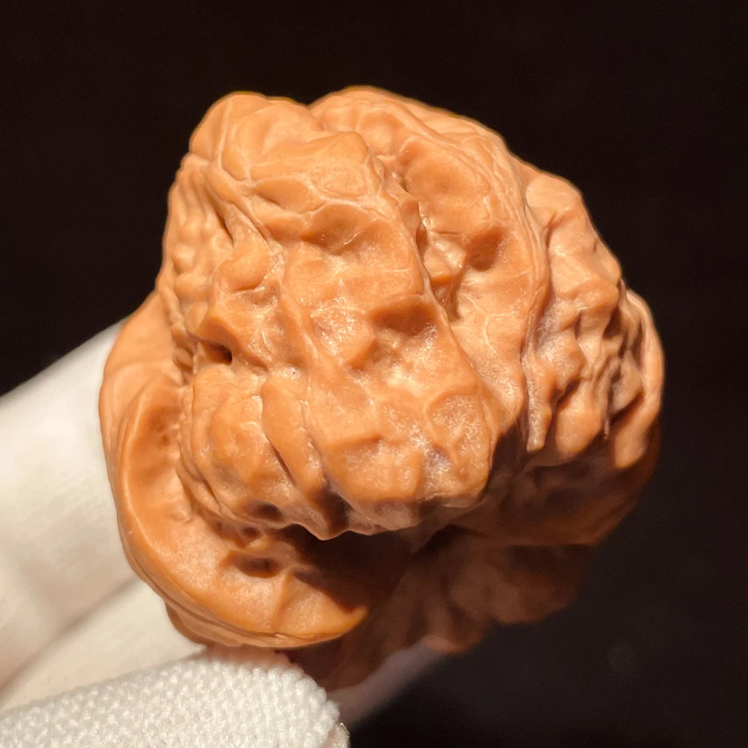 涞水核农一手货源蛤蟆头核桃尺寸33-38