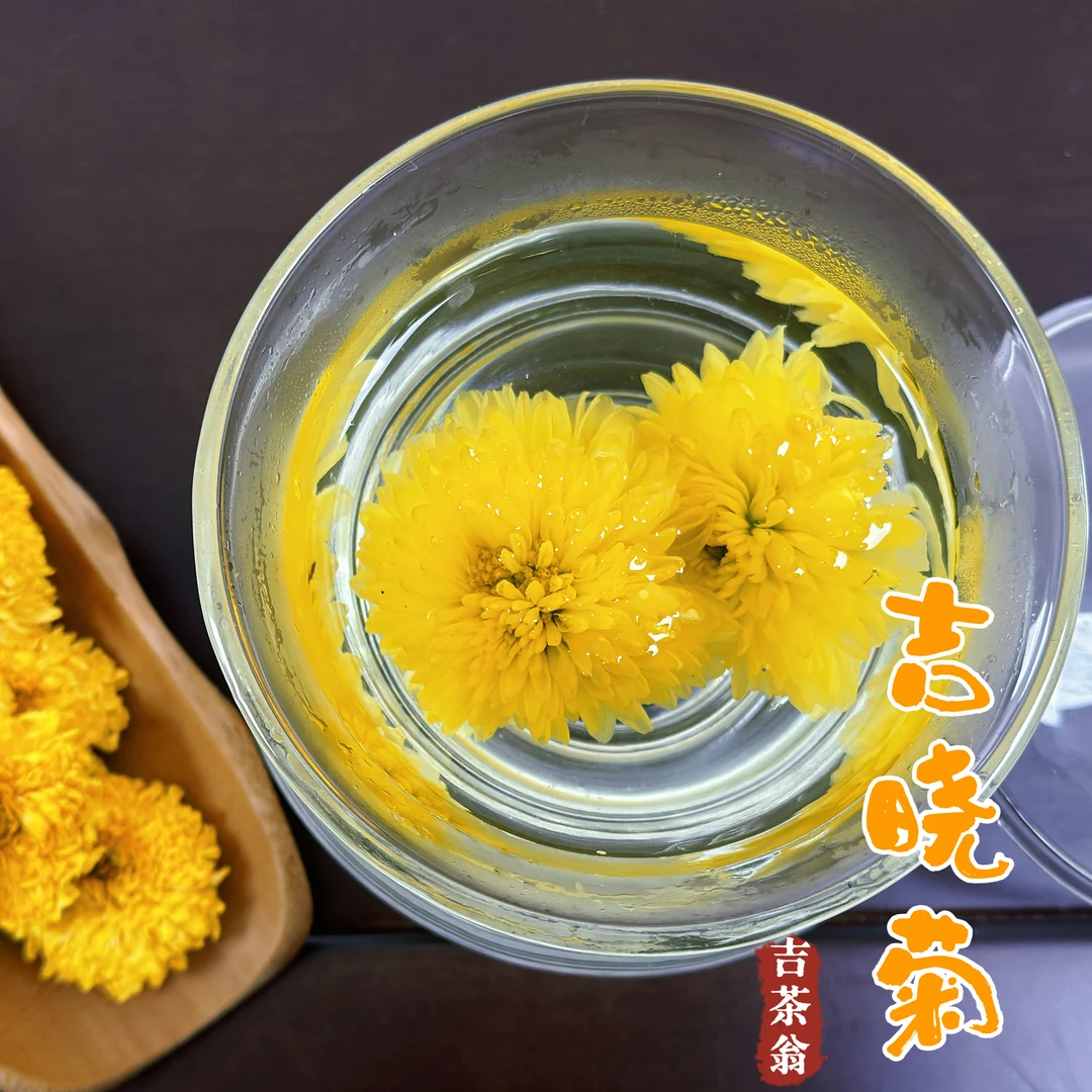 吉晓菊丨吉茶翁婺源皇菊熬夜上火无硫熏无添加自然甘甜浓香