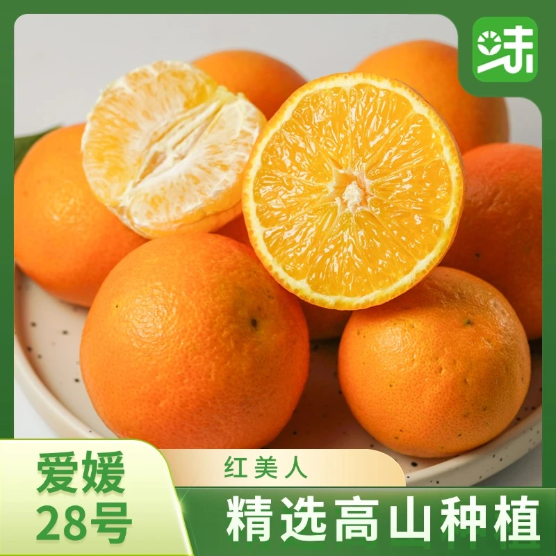 云南28号高山红美人产地直发新鲜现摘多汁饱满皮薄橙子爱媛果冻橙