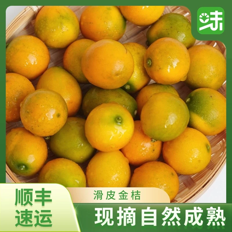 广西融安滑皮金桔多汁新鲜成熟脆皮金桔现摘现发当季新鲜水果