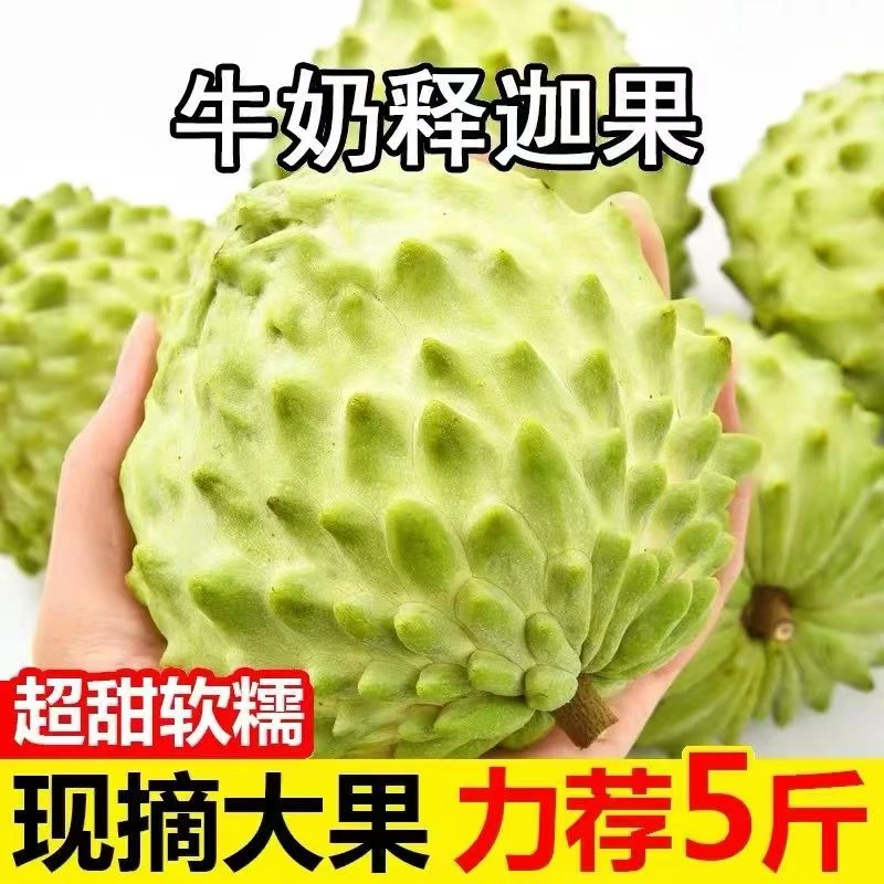 【顺丰包邮1】牛奶凤梨释迦果3斤 中果升级发大果 【滇果香】
