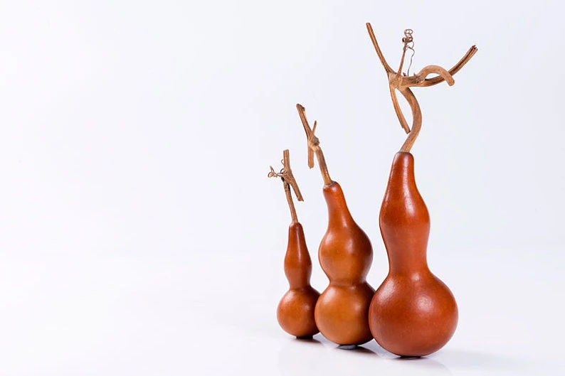 天然葫芦直播间下单链接纯手工创意简约