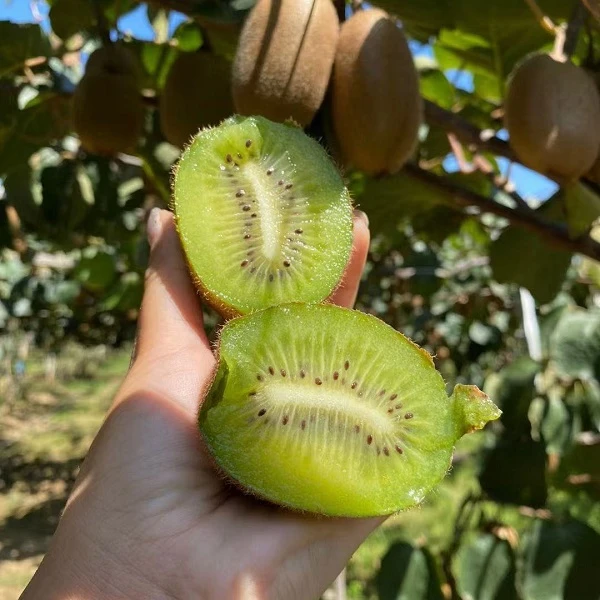 周至徐香猕猴桃30枚装4.8斤 单果70-90克 绿心奇异果当季新鲜水果