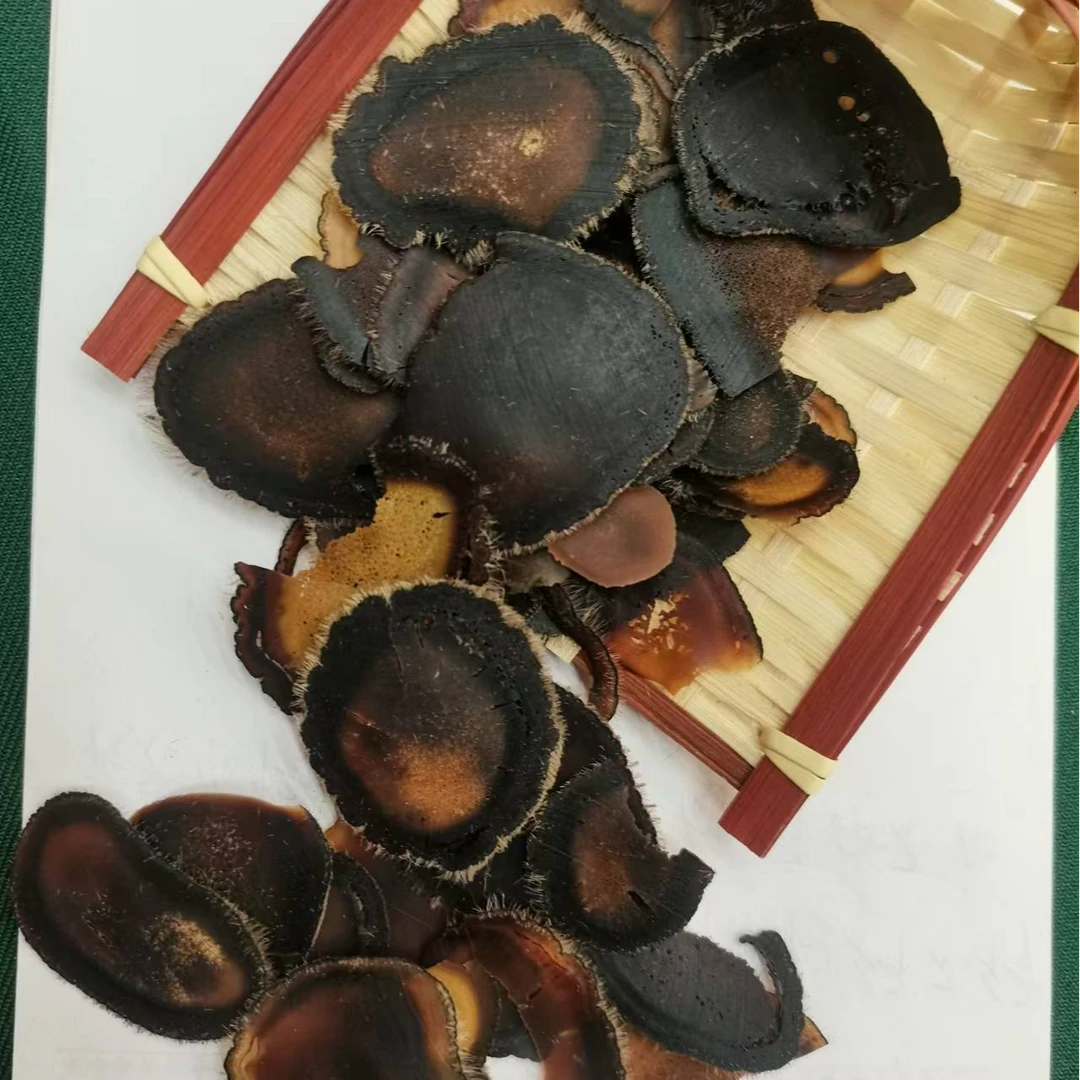 【露茸】腊片搭配西洋参 滋补养生 调理身体 强健体魄