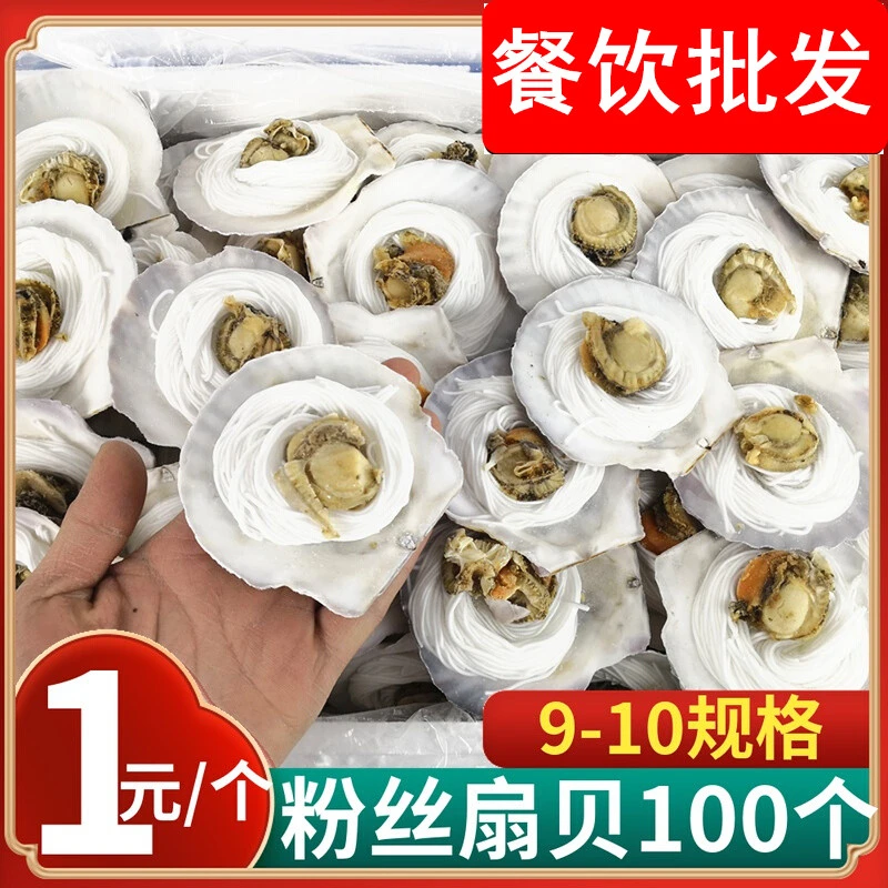 整箱100个粉丝扇贝新鲜冷冻半壳虾夷贝蒜蓉海鲜贝类水产5kg商用