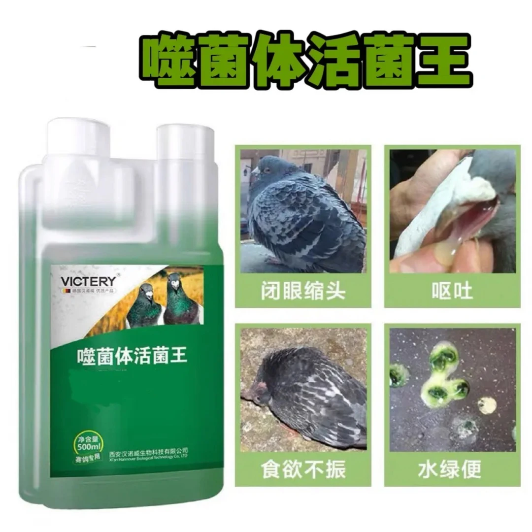 汉诺威噬菌体活菌王 500ML 鸽子赛鸽信鸽观赏鸽用品