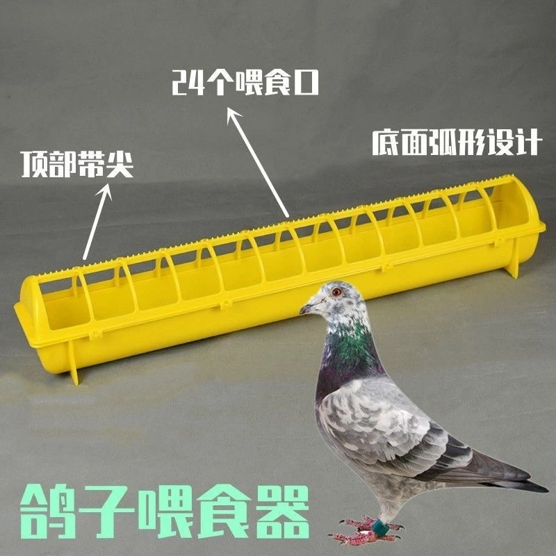 新款加深鸽子食槽，U型槽，不浪费粮食，长68公分 鸽具大全用品