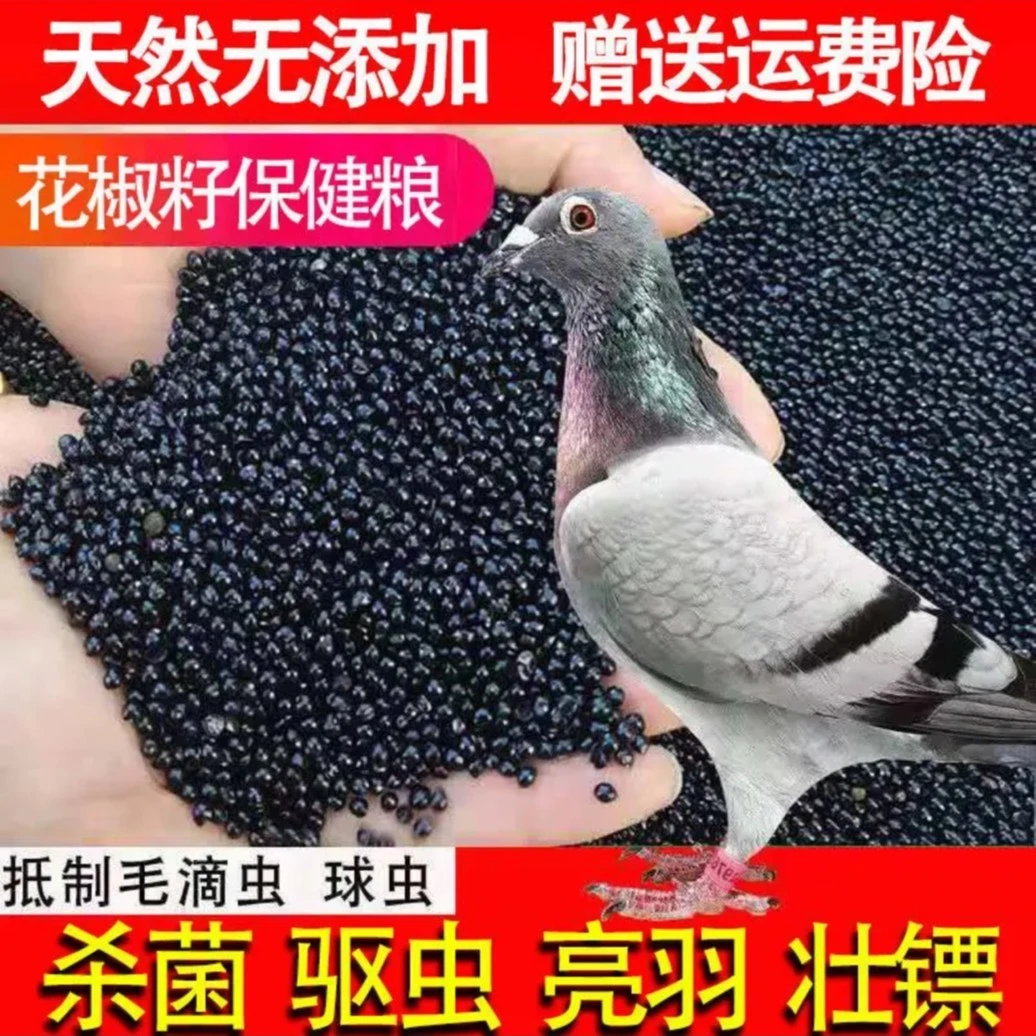 花椒籽鸽用花椒籽 鸽子养殖驱虫 观赏鸽信鸽赛鸽幼鸽1包/5斤装