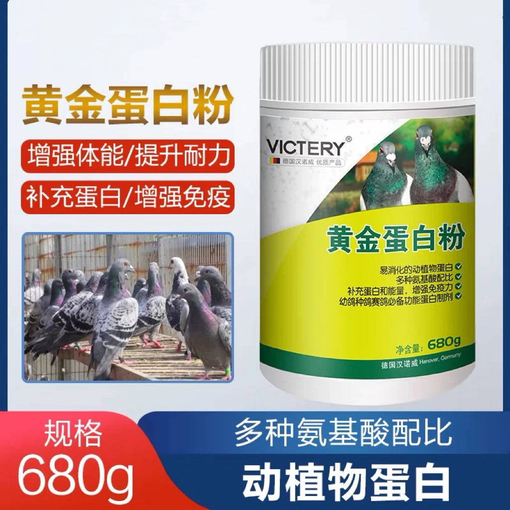 汉诺威【黄金蛋白粉】赛信鸽幼种补充蛋白和能量保健鹦鹉鸽子用品